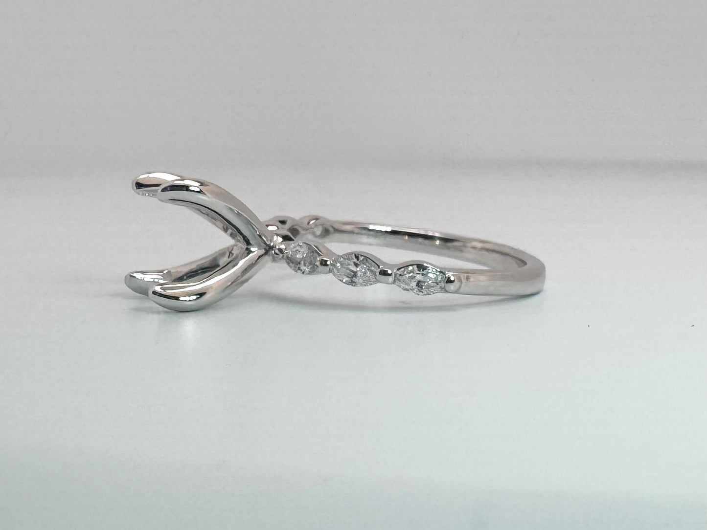 14k, white gold .40 diamond total weight engagement ring.